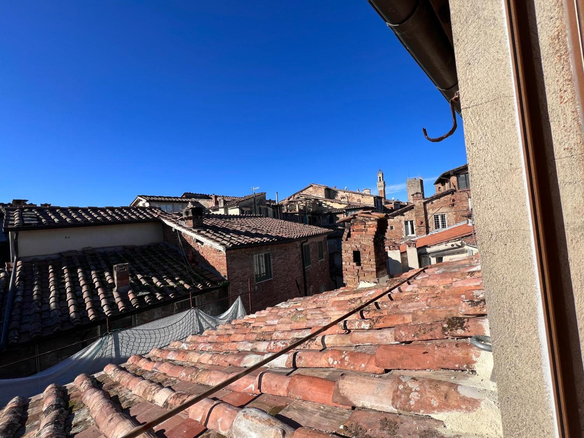 Colibri Apartment