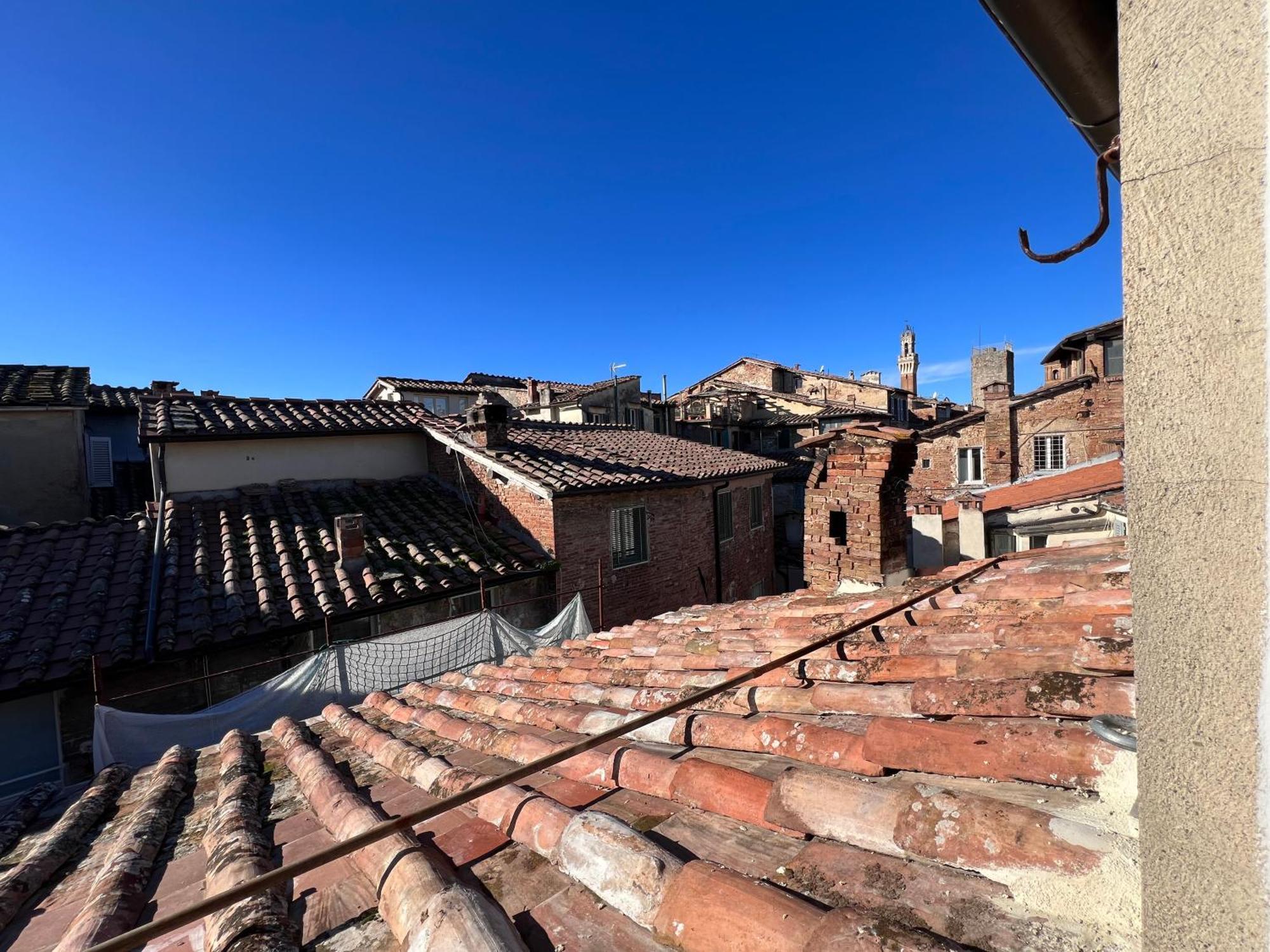 Colibri Apartment